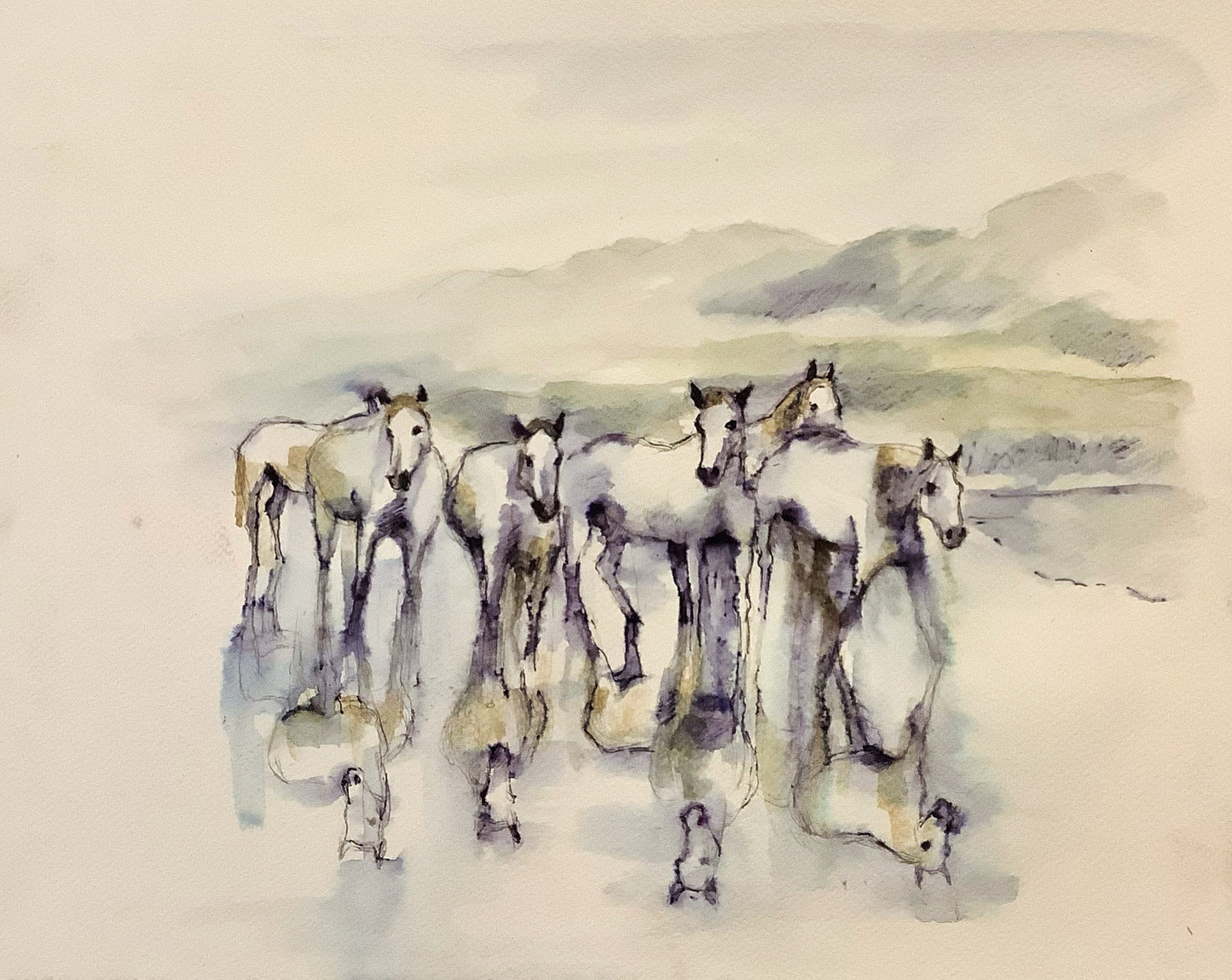 Camargue aquarelle 30/40